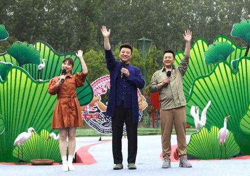 平乐勇哥爆料视频大全最新,揭秘幕后真相，带你走进事件核心