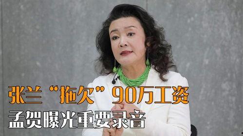 张兰最新爆料录音,豪门恩怨再掀波澜  第2张